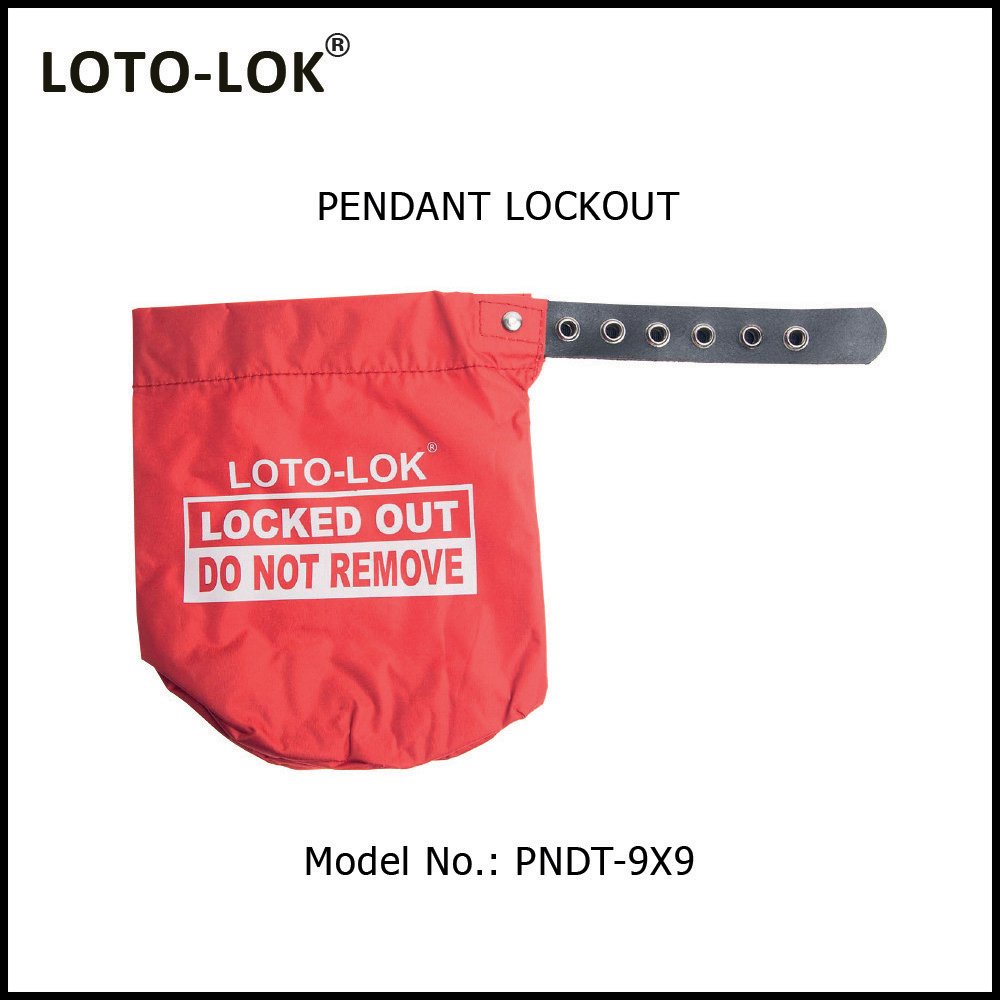 Pendant & Plug Lockout Device