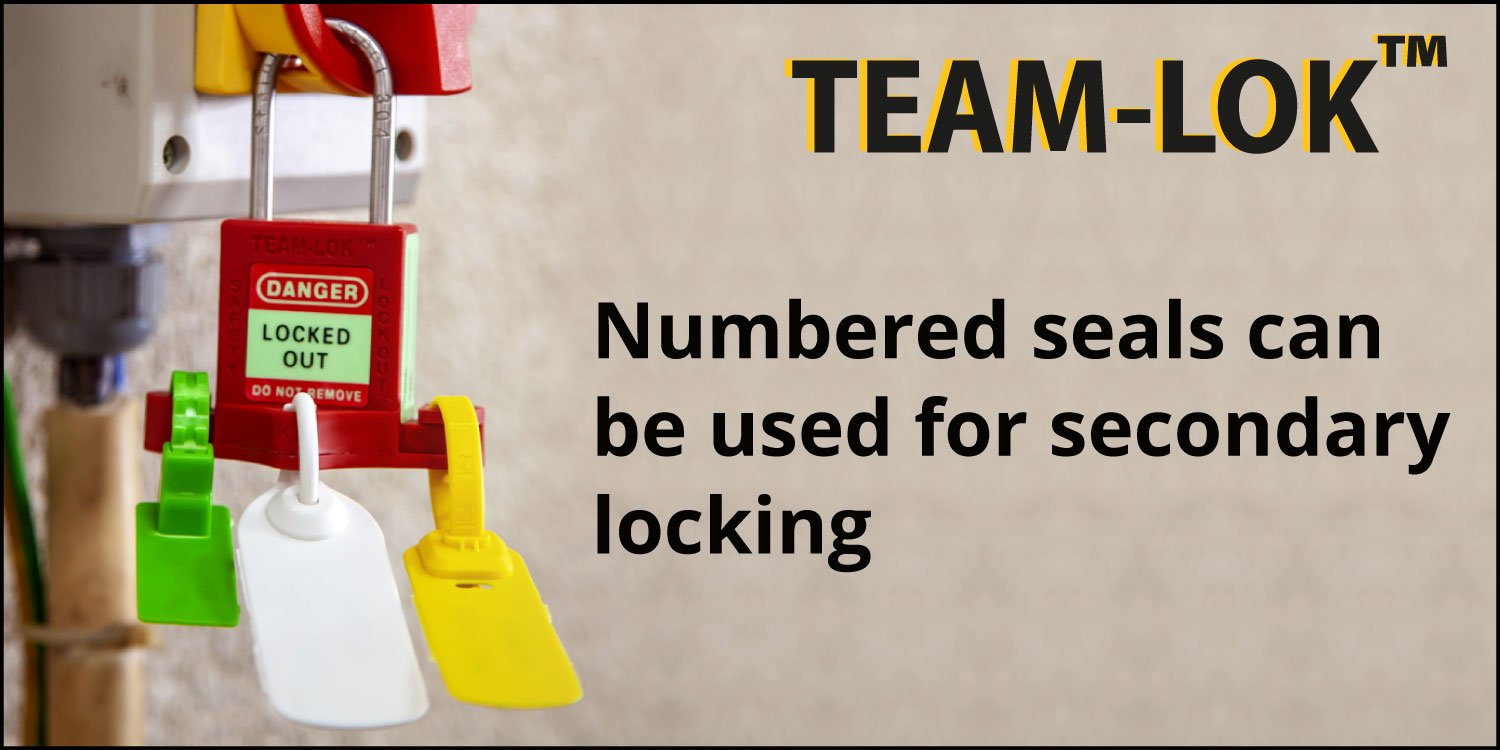 TEAM-LOK secondary locking